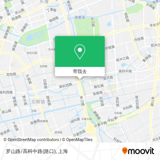 罗山路/高科中路(路口)地图