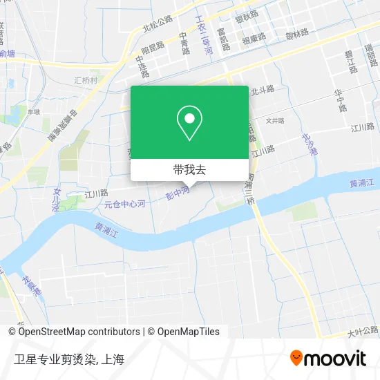 卫星专业剪烫染地图