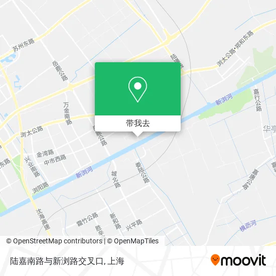 陆嘉南路与新浏路交叉口地图