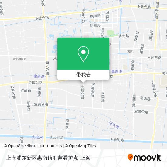 上海浦东新区惠南镇润苗看护点地图