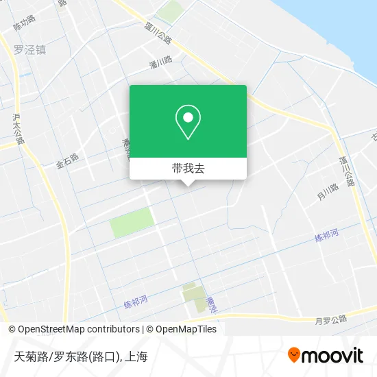 天菊路/罗东路(路口)地图