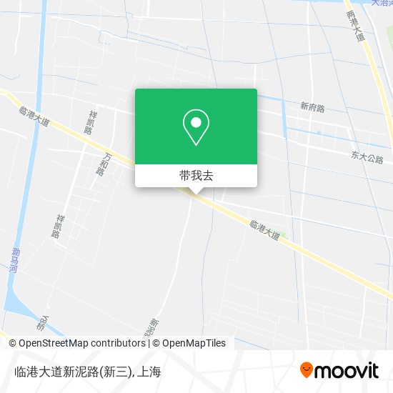 临港大道新泥路(新三)地图