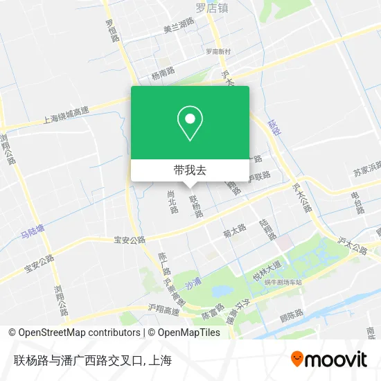 联杨路与潘广西路交叉口地图