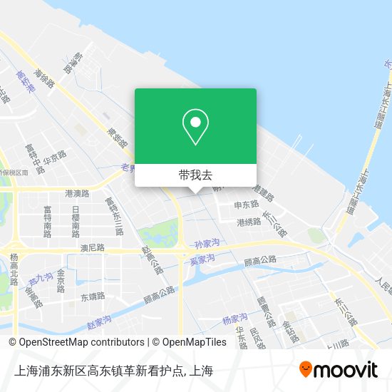 上海浦东新区高东镇革新看护点地图