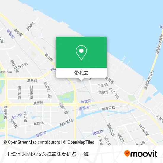 上海浦东新区高东镇革新看护点地图