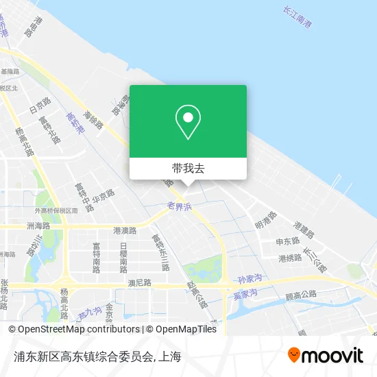 浦东新区高东镇综合委员会地图