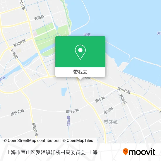 上海市宝山区罗泾镇洋桥村民委员会地图