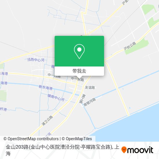金山203路(金山中心医院漕泾分院-亭耀路宝合路)地图