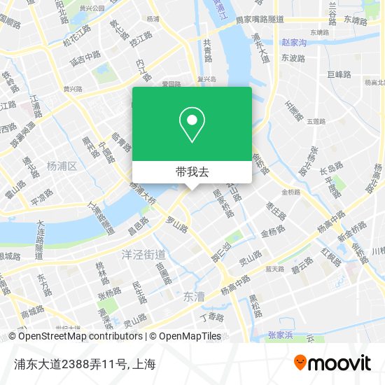 浦东大道2388弄11号地图