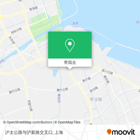 沪太公路与沪新路交叉口地图