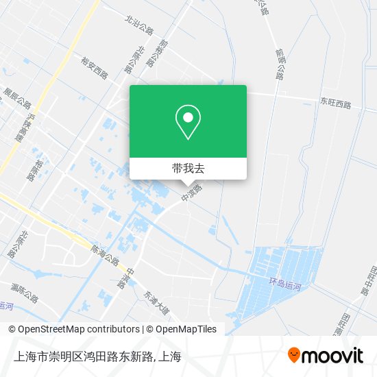 上海市崇明区鸿田路东新路地图