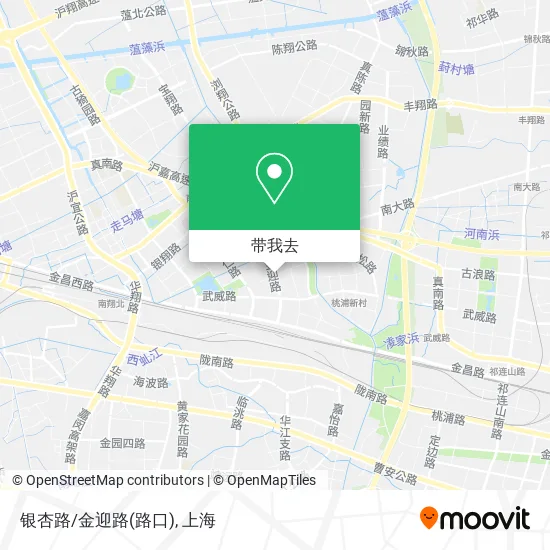 银杏路/金迎路(路口)地图