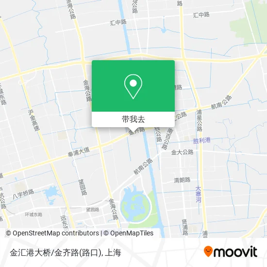 金汇港大桥/金齐路(路口)地图