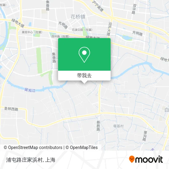 浦屯路庄家浜村地图