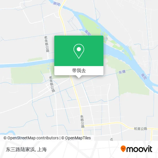 东三路陆家浜地图