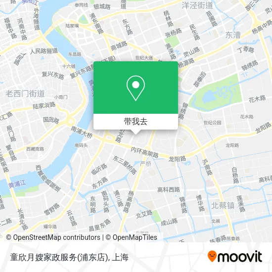 童欣月嫂家政服务(浦东店)地图