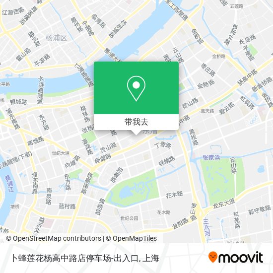 卜蜂莲花杨高中路店停车场-出入口地图