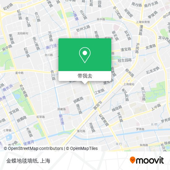 金蝶地毯墙纸地图