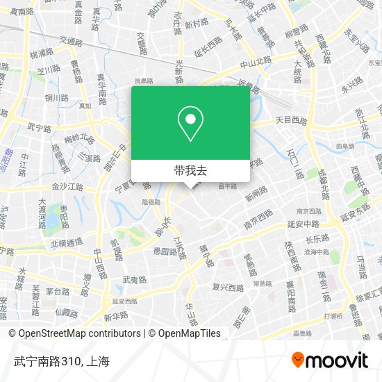 武宁南路310地图
