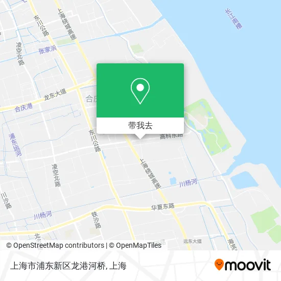 上海市浦东新区龙港河桥地图