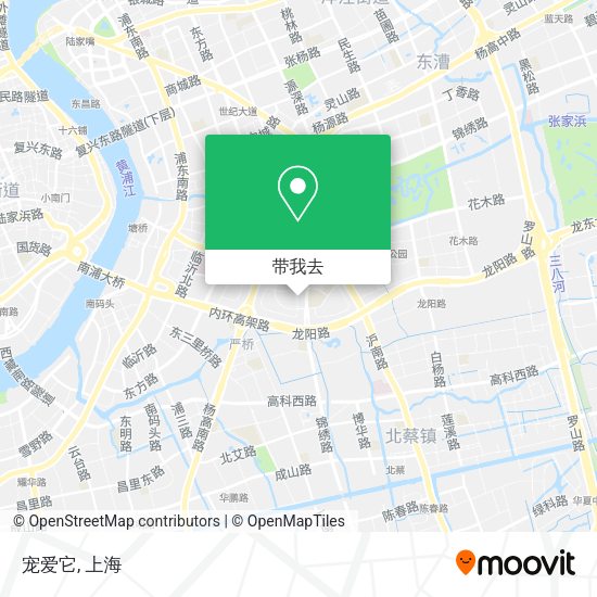 宠爱它地图