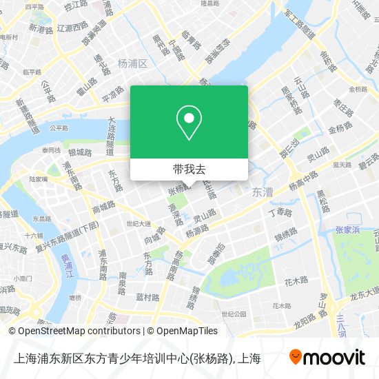 上海浦东新区东方青少年培训中心(张杨路)地图