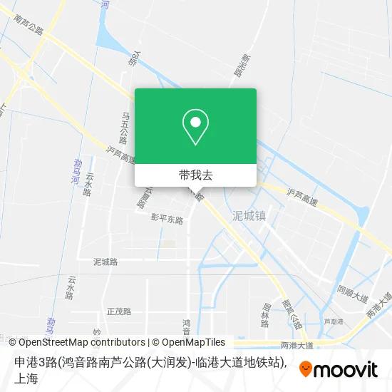 申港3路(鸿音路南芦公路(大润发)-临港大道地铁站)地图