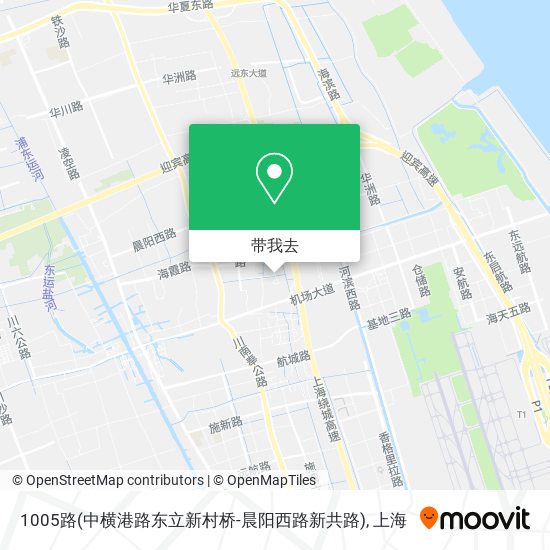 1005路(中横港路东立新村桥-晨阳西路新共路)地图