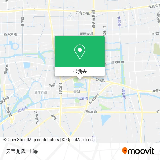 天宝龙凤地图
