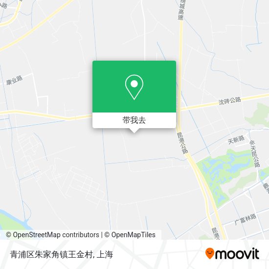 青浦区朱家角镇王金村地图
