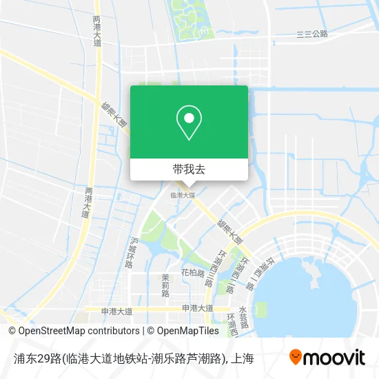 浦东29路(临港大道地铁站-潮乐路芦潮路)地图