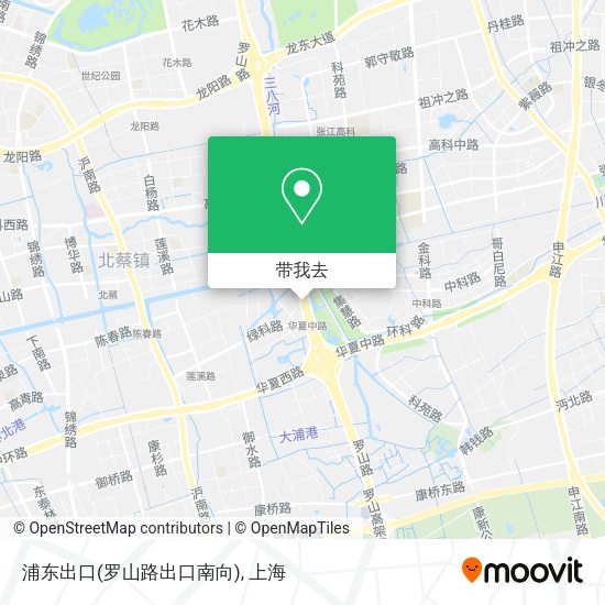 浦东出口(罗山路出口南向)地图
