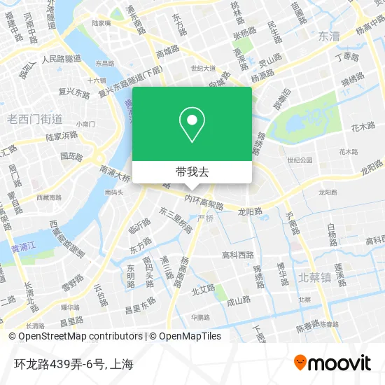 环龙路439弄-6号地图