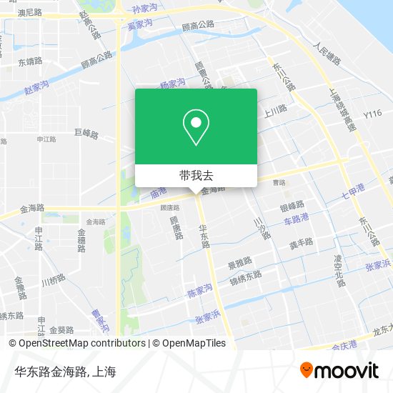 华东路金海路地图