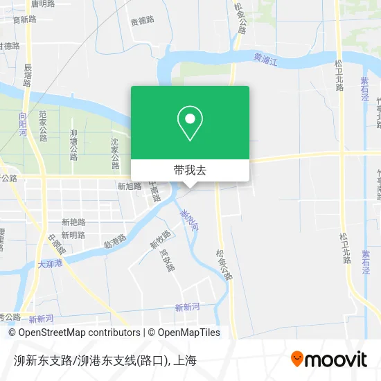 泖新东支路/泖港东支线(路口)地图