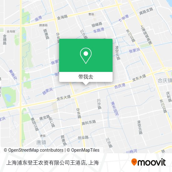 上海浦东登王农资有限公司王港店地图