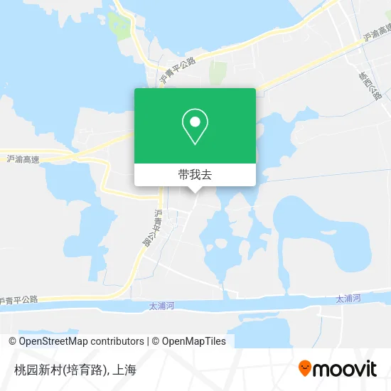 桃园新村(培育路)地图
