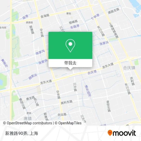 新雅路90弄地图