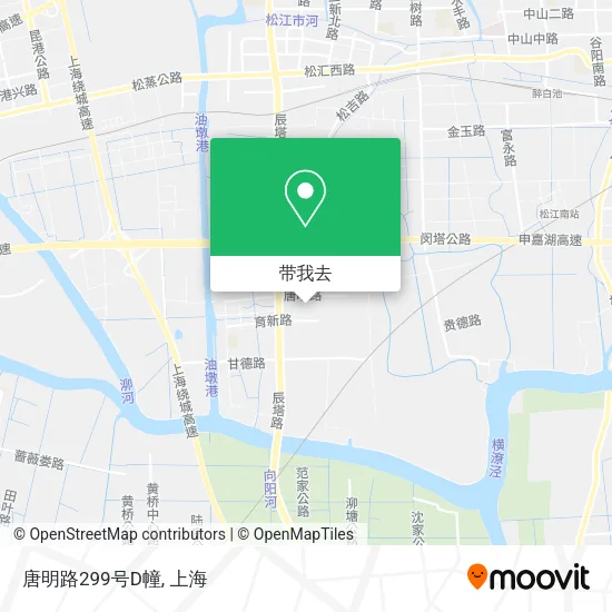 唐明路299号D幢地图