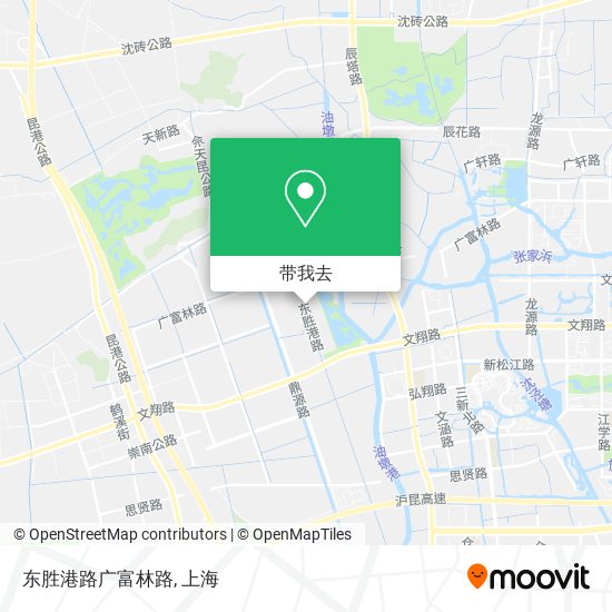 东胜港路广富林路地图