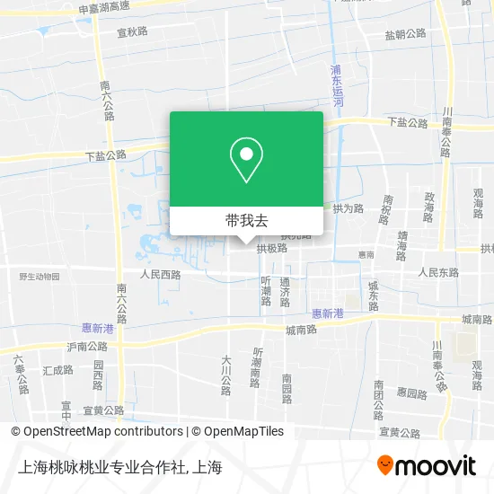 上海桃咏桃业专业合作社地图