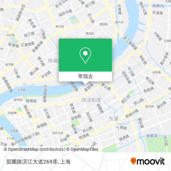 苗圃路滨江大道269库地图