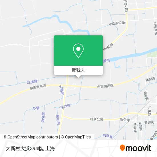 大新村大浜394临地图
