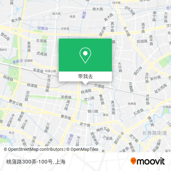桃蒲路300弄-100号地图