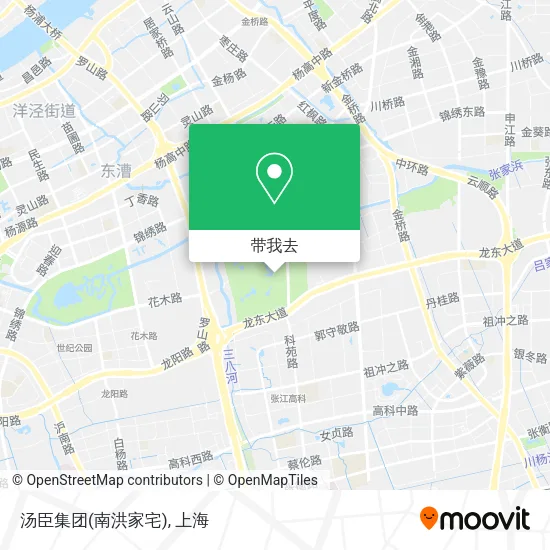 汤臣集团(南洪家宅)地图