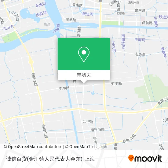 诚信百货(金汇镇人民代表大会东)地图