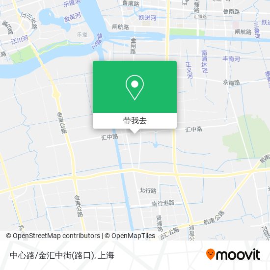 中心路/金汇中街(路口)地图