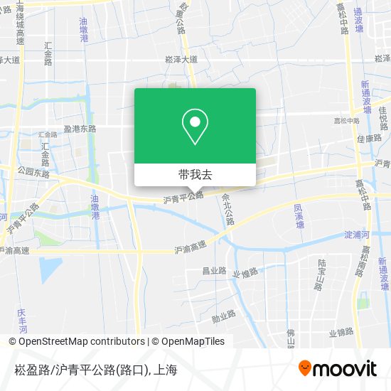 崧盈路/沪青平公路(路口)地图