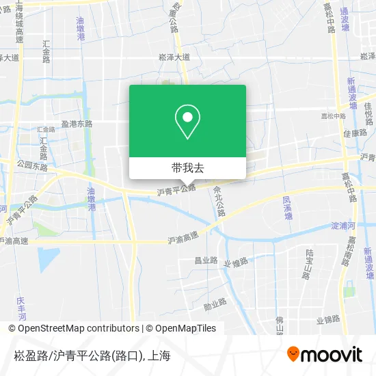 崧盈路/沪青平公路(路口)地图