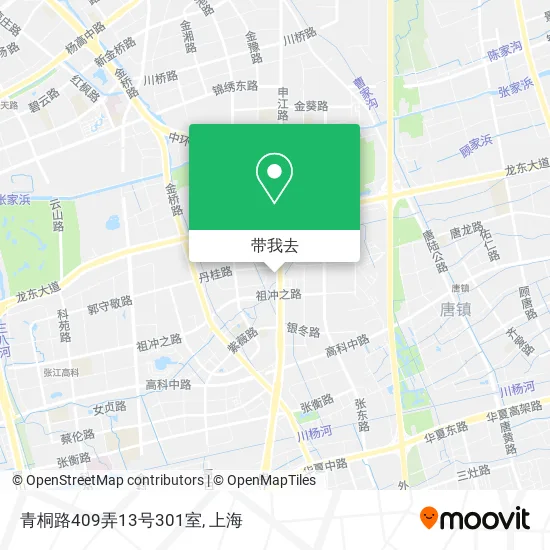 青桐路409弄13号301室地图